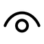 Show password